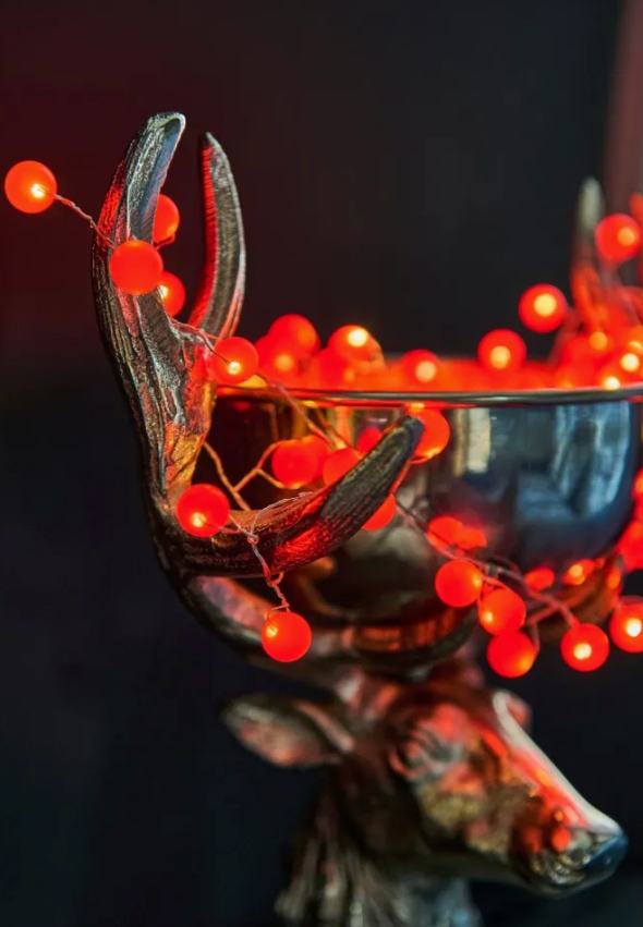 Snowberry Lights