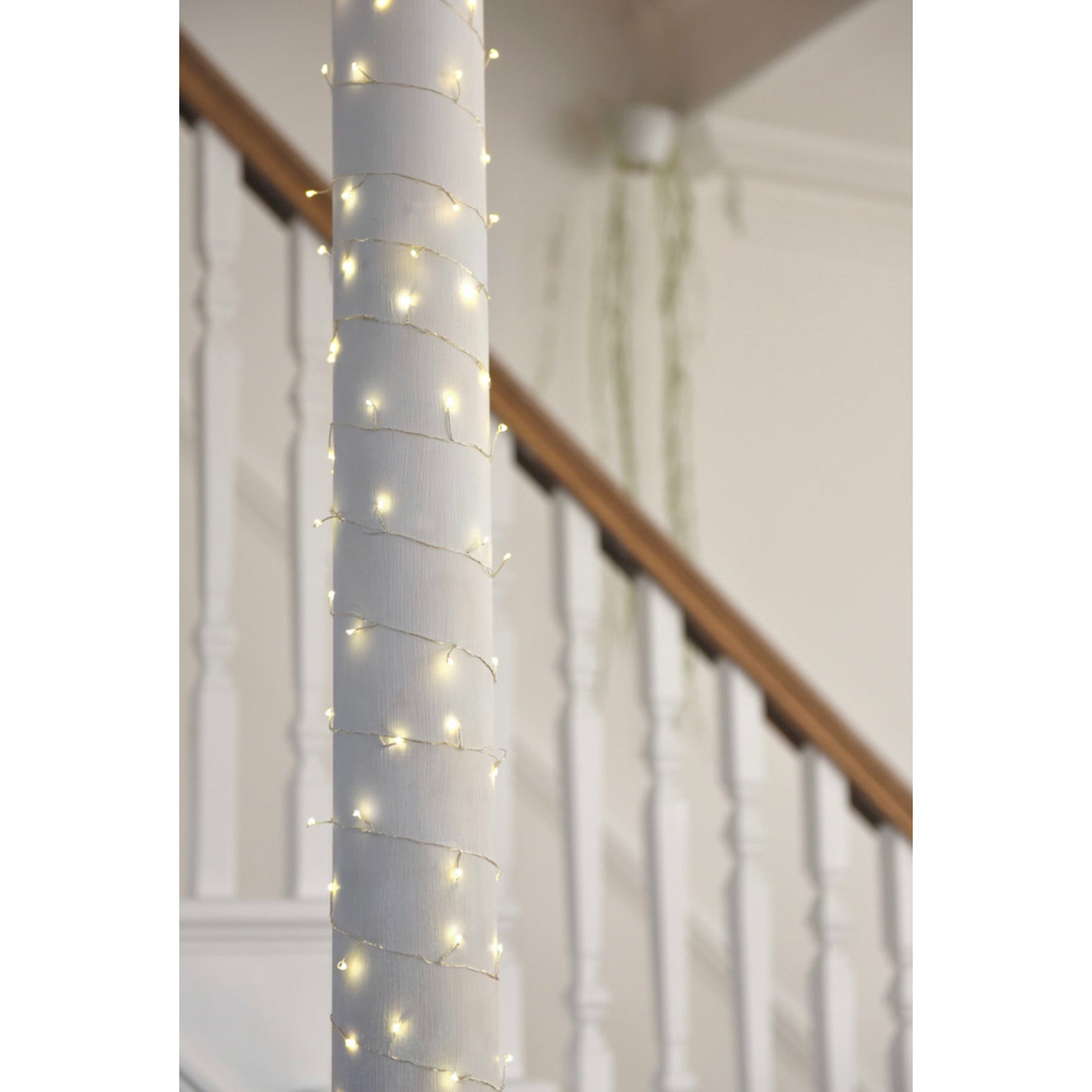 Cluster String Lights | String Lights | Lumina Of London