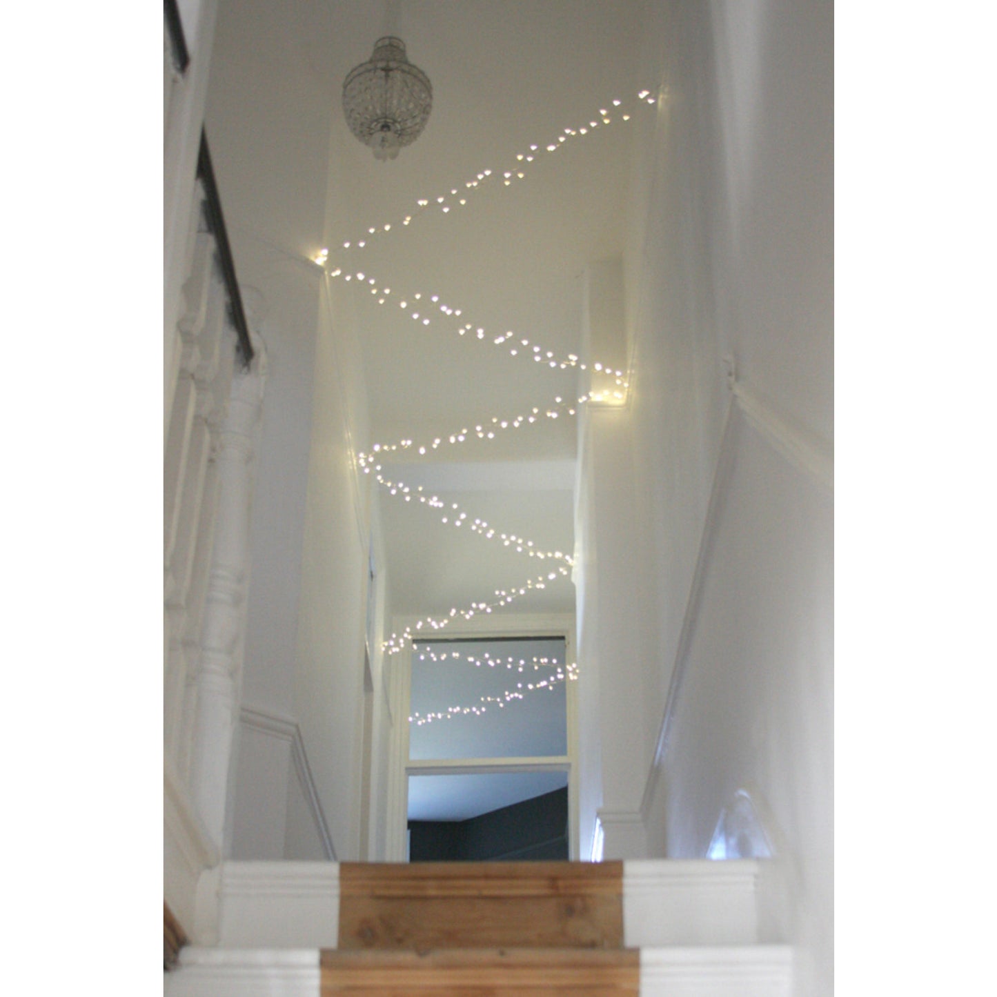 Cluster String Lights | String Lights | Lumina Of London