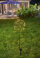 Solar Dandelion Light