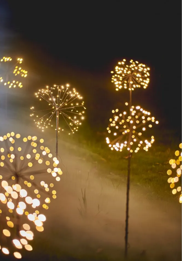 Solar Dandelion Light