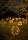 Solar Dandelion Light
