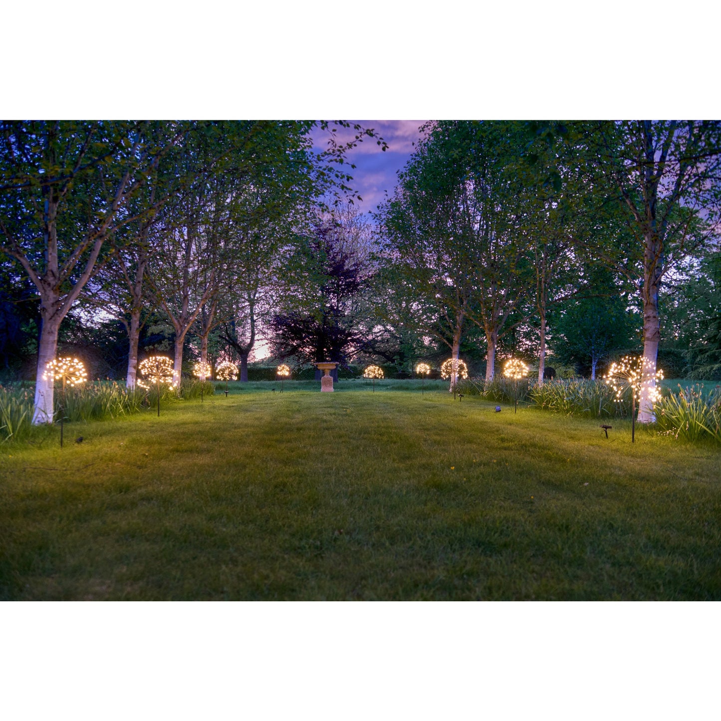 Solar Dandelion Light | Dandelion Light | Lumina Of London