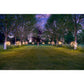 Solar Dandelion Light | Dandelion Light | Lumina Of London