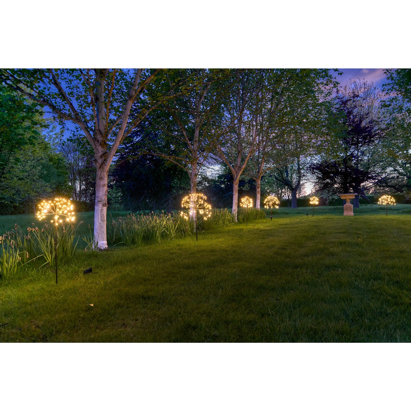 Solar Dandelion Light | Dandelion Light | Lumina Of London