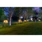 Solar Dandelion Light | Dandelion Light | Lumina Of London