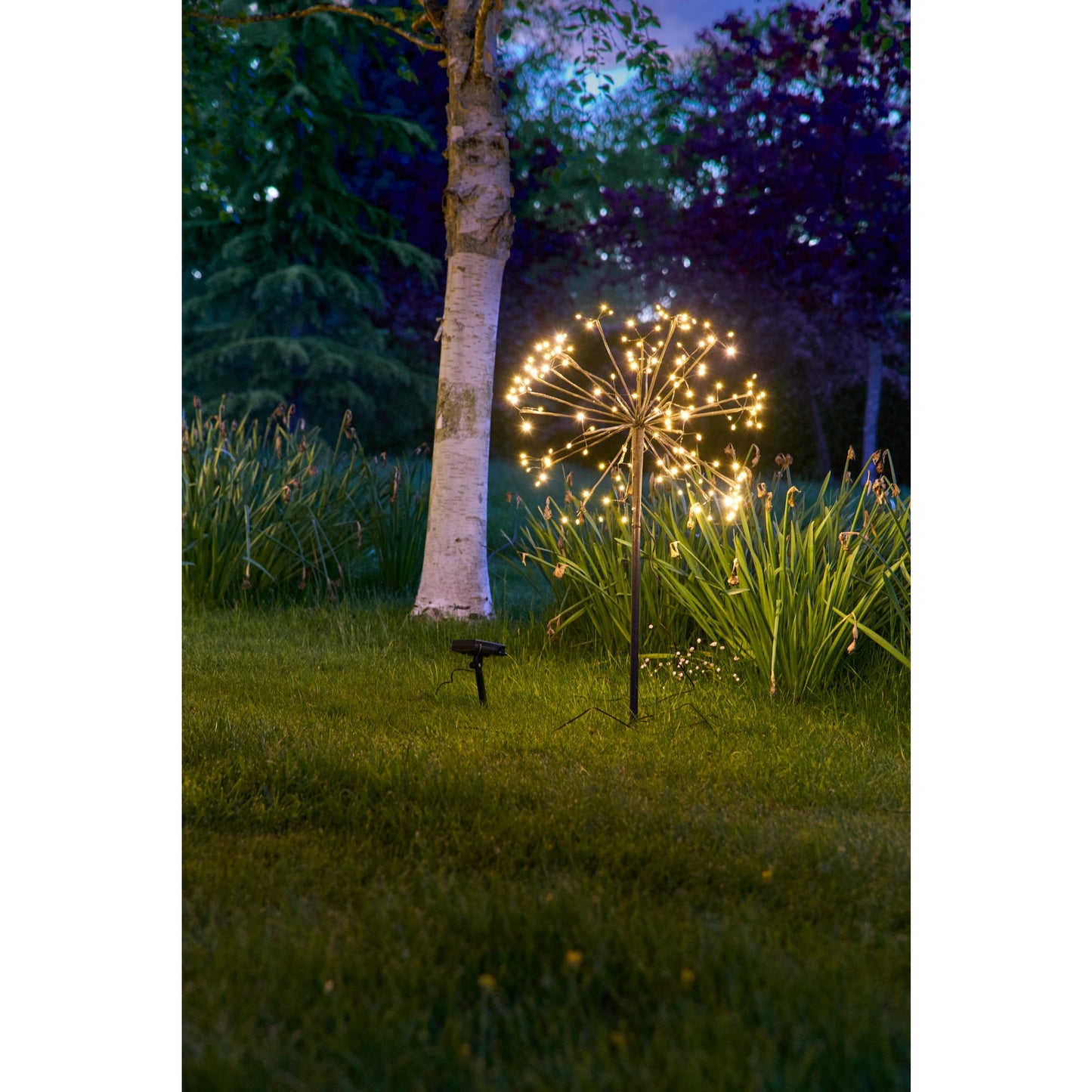 Solar Dandelion Light | Dandelion Light | Lumina Of London
