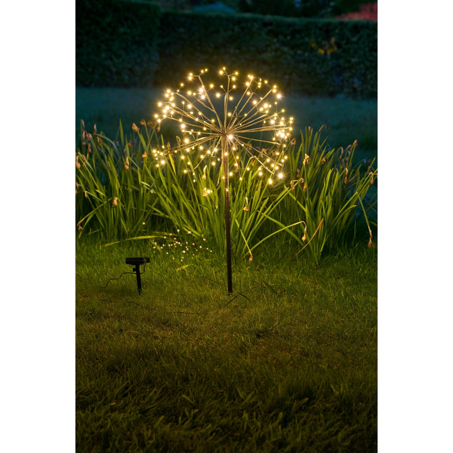 Solar Dandelion Light | Dandelion Light | Lumina Of London