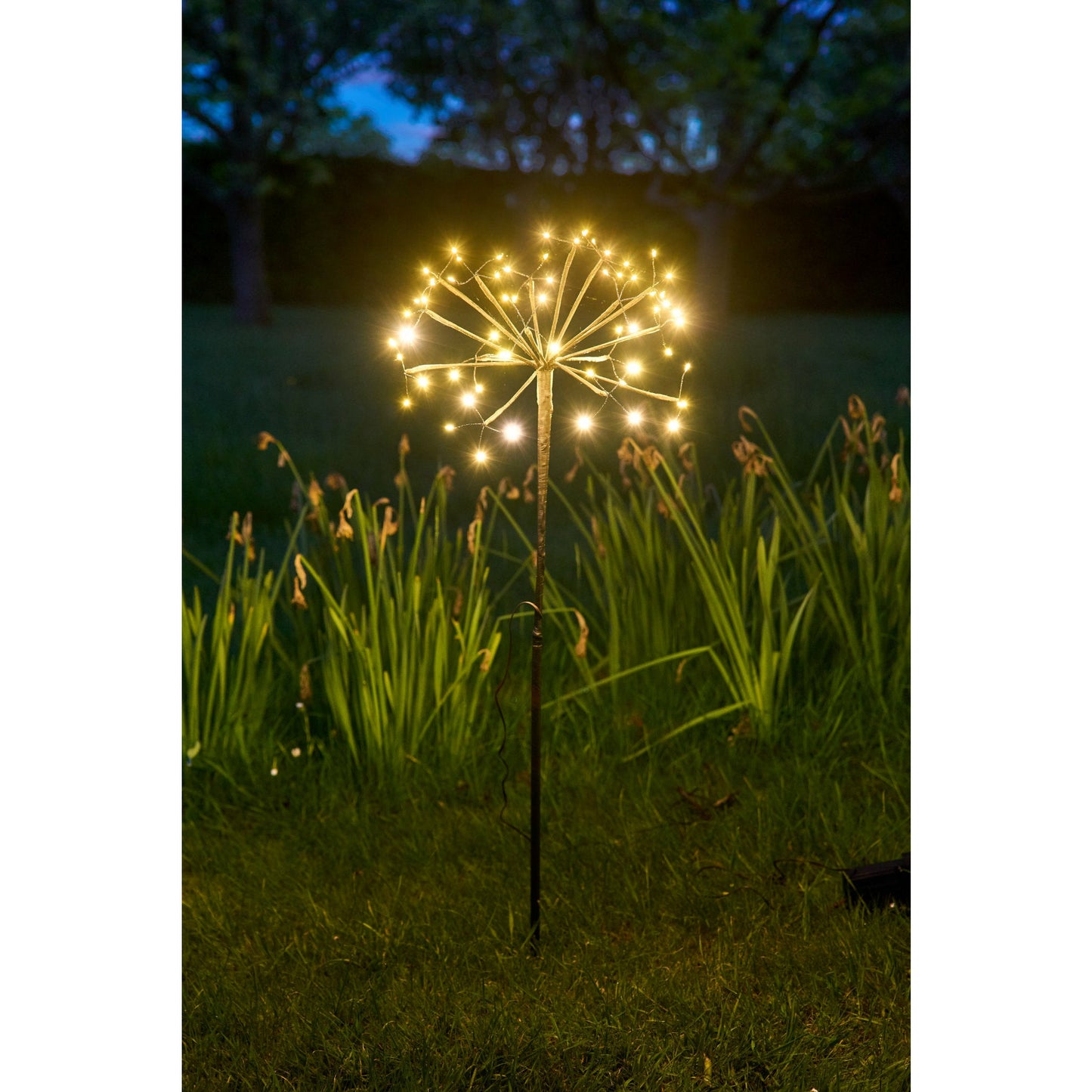 Solar Dandelion Light | Dandelion Light | Lumina Of London