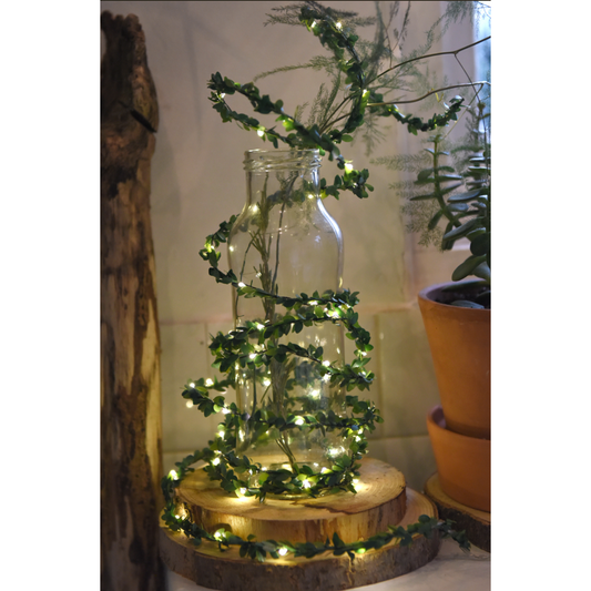 Gorgeous Greenery String Lights | Greenery Lights | Lumina Of London