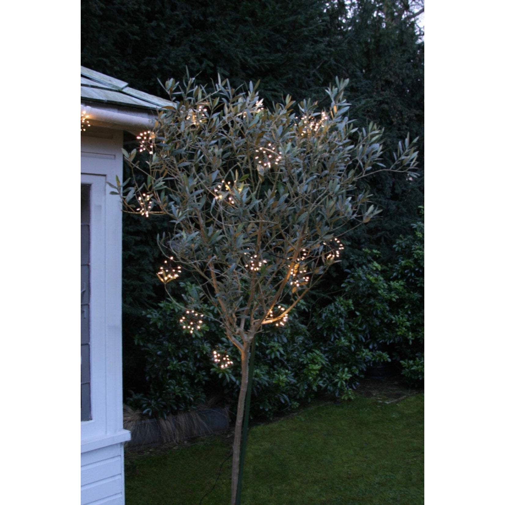 Starburst Chain Lights | Lumina Of London