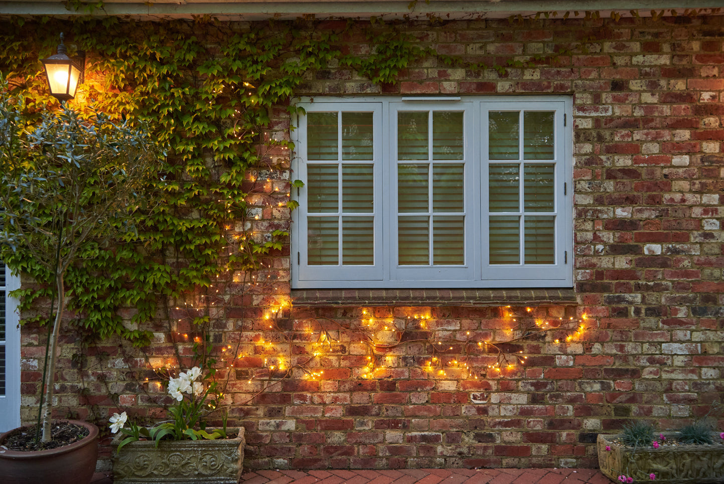 Solar Ivy Lights | Ivy Lights | Lumina Of London
