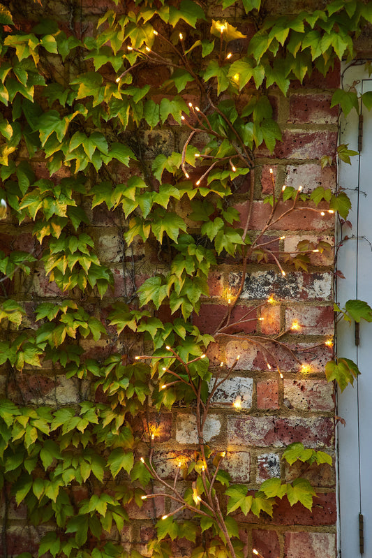 Solar Ivy Lights | Ivy Lights | Lumina Of London