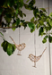 Hanging Robin