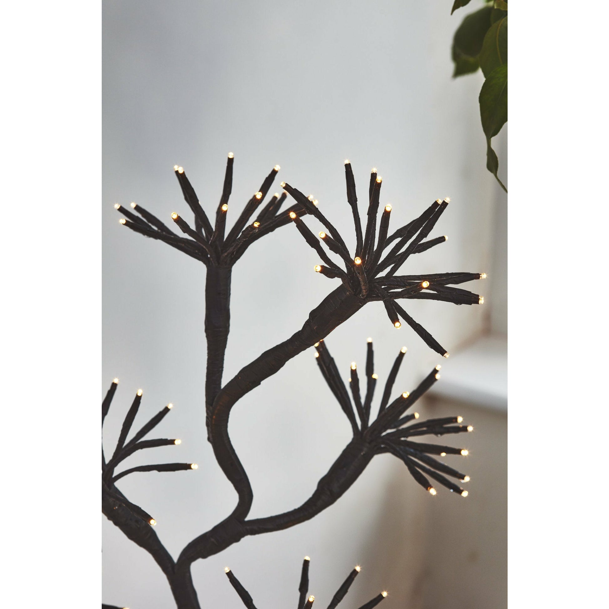 Solar Starburst Branch Light | Solar Branch Light | Lumina Of London