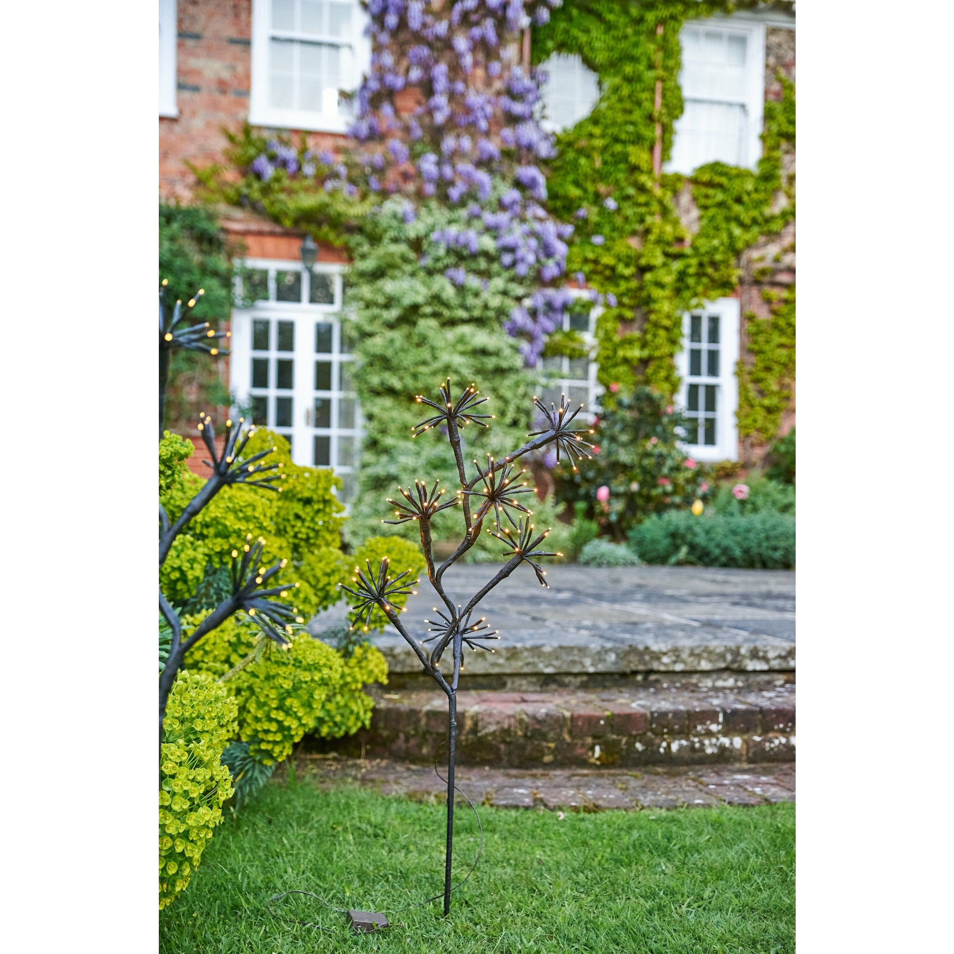 Solar Starburst Branch Light | Solar Branch Light | Lumina Of London