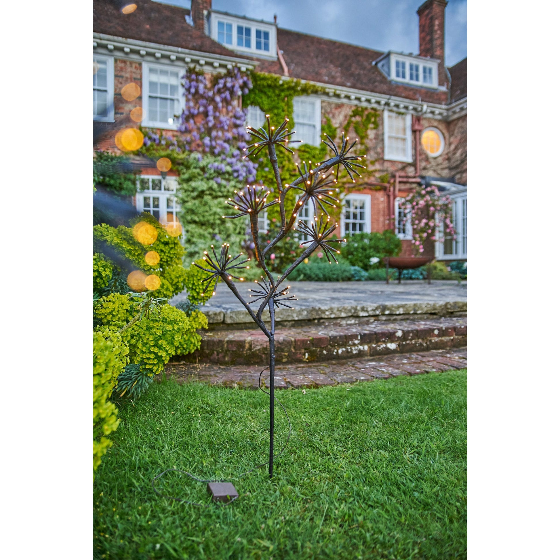 Solar Starburst Branch Light | Solar Branch Light | Lumina Of London